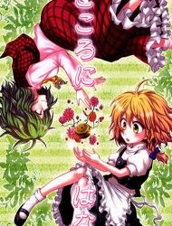 Touhou - A Flower For The Heart (Doujinshi)